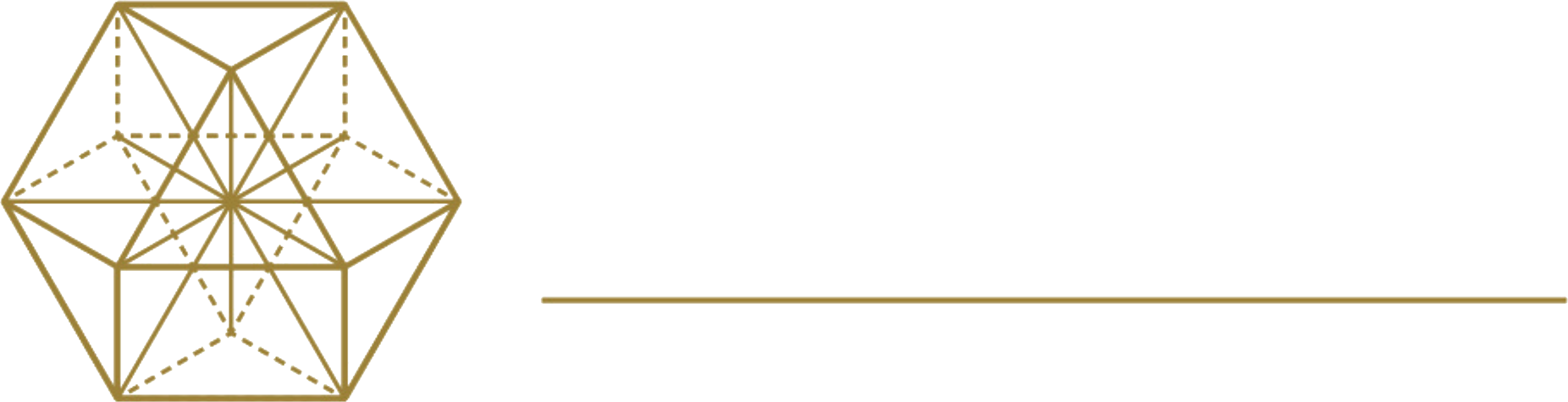 Sustineri Consulting Group